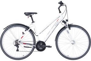 Dviratis 28 Pegasus Avanti Sport 18