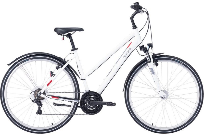 Dviratis 28 Pegasus Avanti Sport 18
