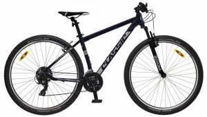 Dviratis Classic Team 29 ratais 21 pavaros