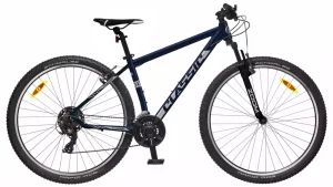 Dviratis Classic Team 29 ratais 21 pavaros mėlynas