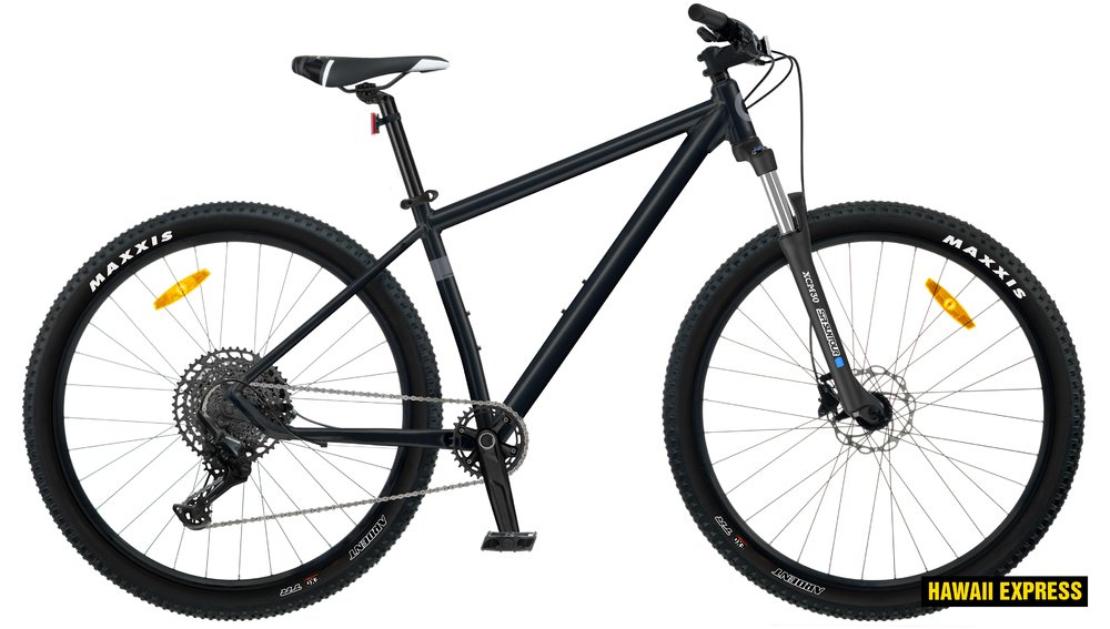 29 colių kalnų dviratis CLASSIC X12